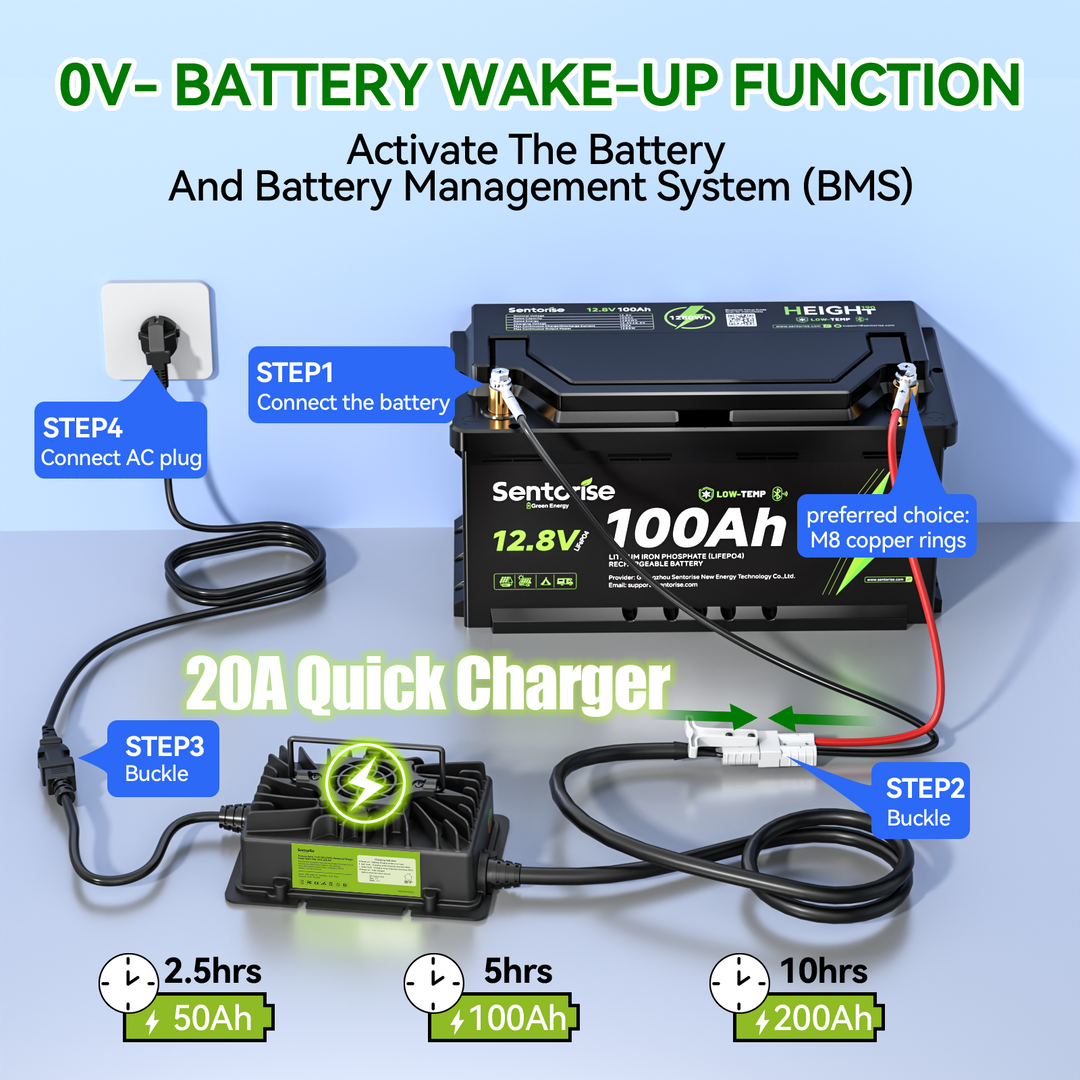 Sentorise 14.6V 20A LiFePO4 Charger – Fully Potted &amp; Waterproof | EU Plug