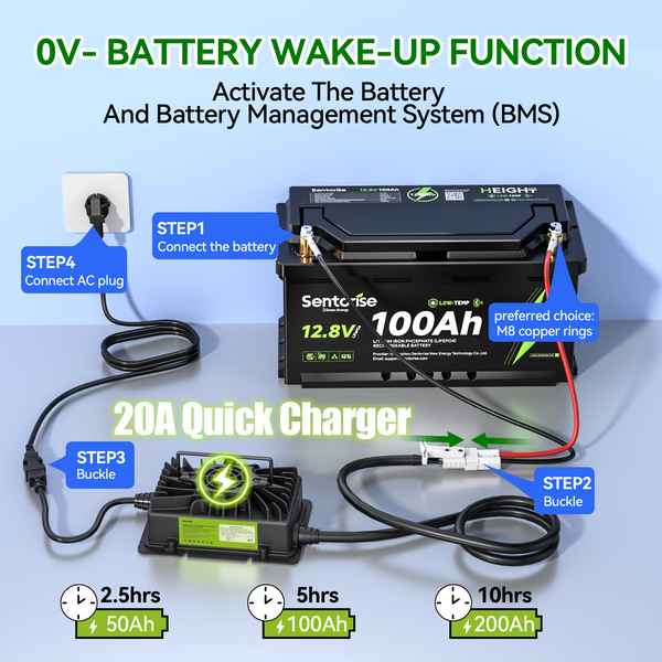 14.6V 20A Waterproof LiFePO4 Battery Charger